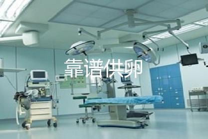 靠谱供卵